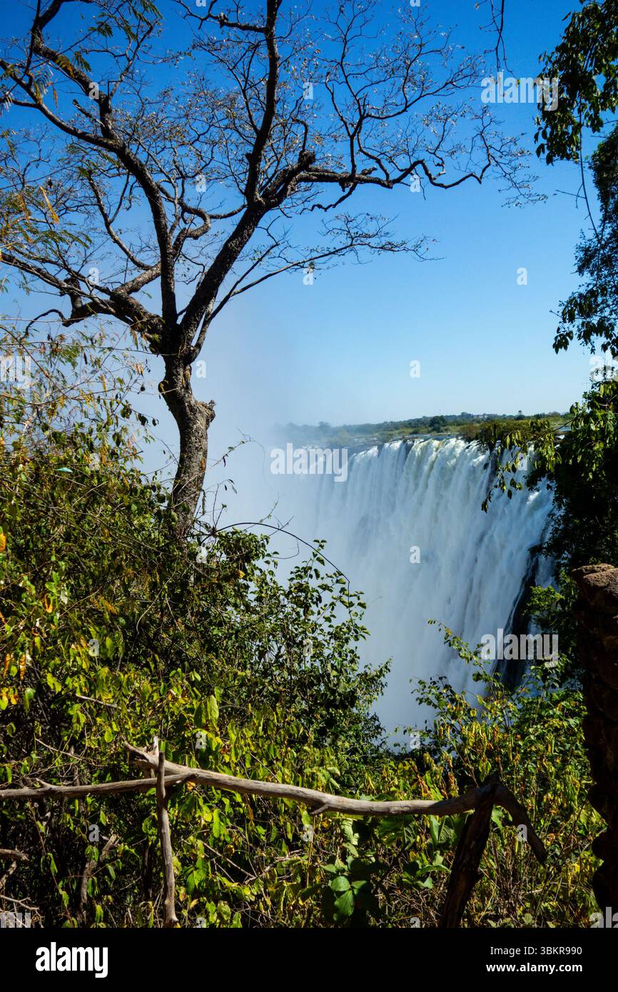 Victoria Falls in Afrika gilt als eines der sieben Naturwunder der Welt Stockfoto
