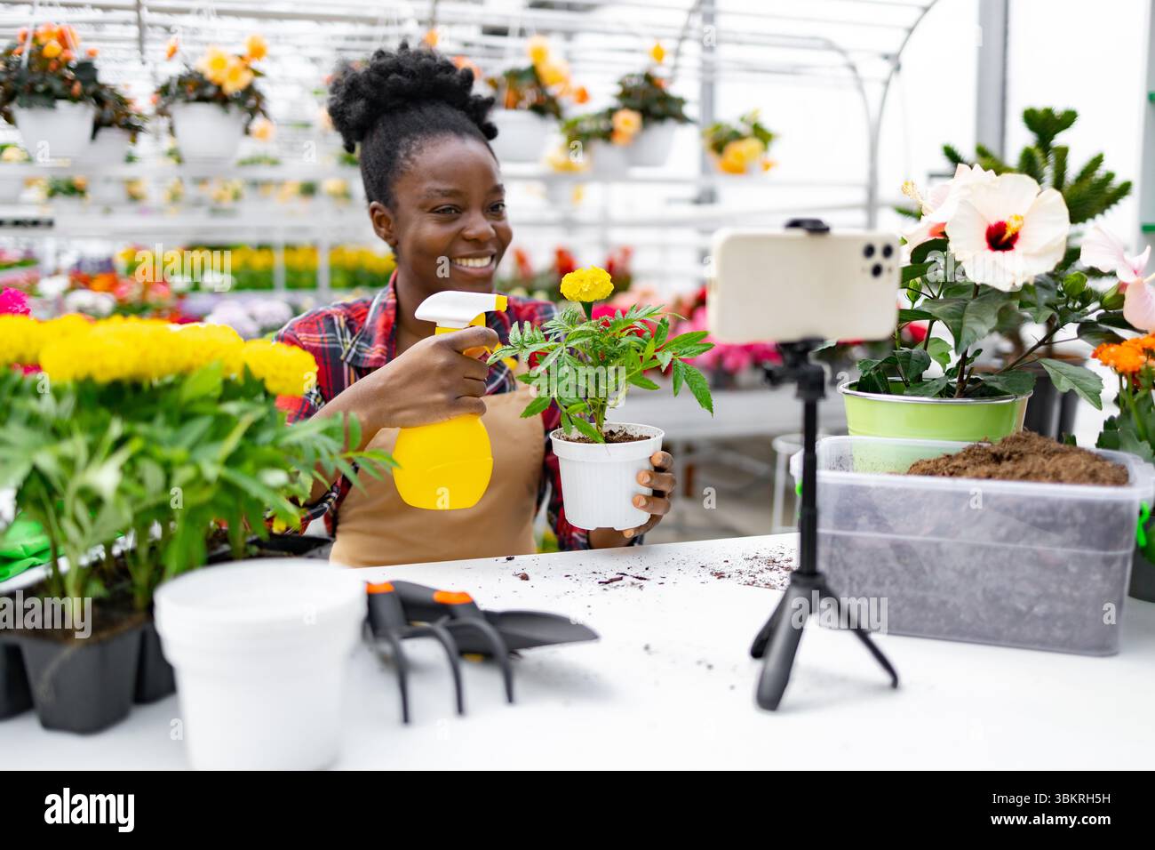 Frau Filmt Gardening Tutorial Stockfoto