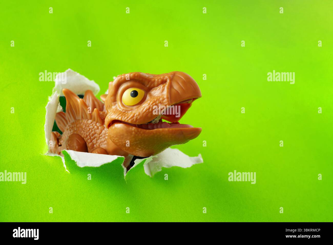 Mini-Stegosaurus-Spielzeug platzt heraus und reißt durch grünen Papierhintergrund Stockfoto