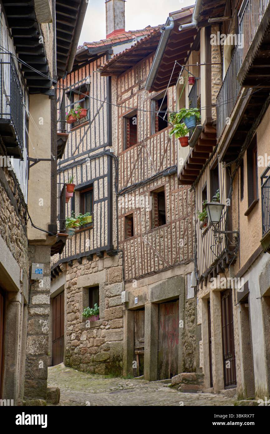 Gepflasterte Gasse in La Alberca, flankiert von traditionellen Stein- und Fachwerkhäusern, mit Balkonen und Fenstern, die mit Töpfen und Blumen dekoriert sind. Stockfoto