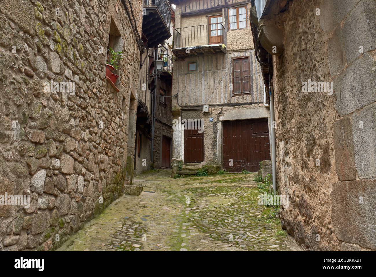 Gepflasterte Gasse in La Alberca, flankiert von traditionellen Stein- und Fachwerkhäusern, mit Balkonen und Fenstern, die mit Töpfen und Blumen dekoriert sind. Stockfoto