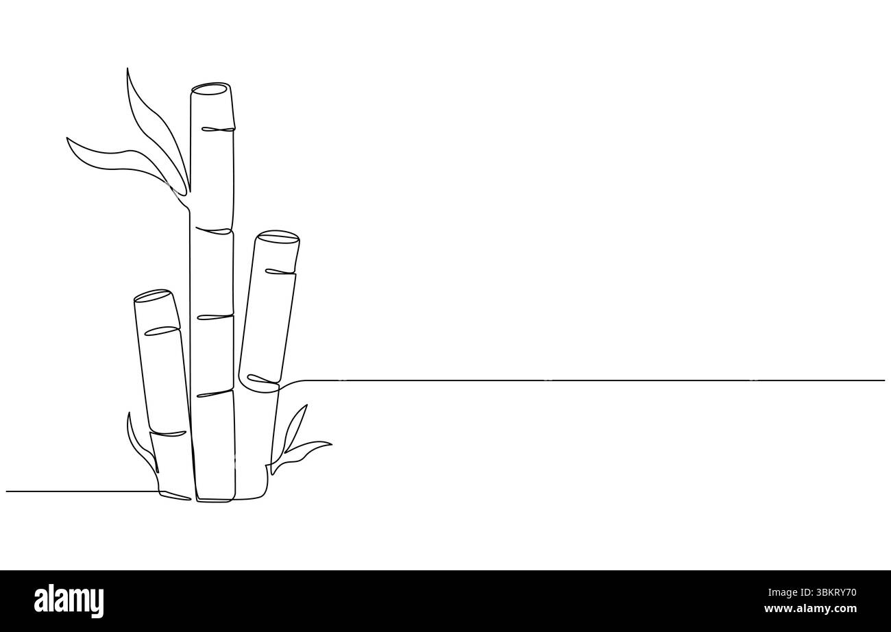 Minimalistische Linienzeichnung von Bambuspflanzen, Monoline Bambus mit Blättern, Stock Vektor