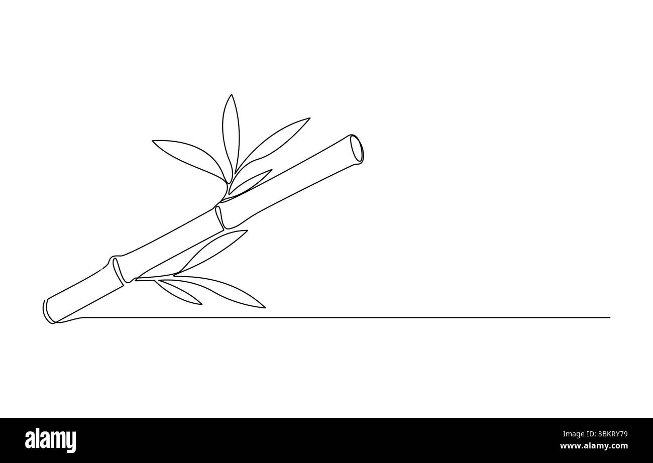 Minimalistische Linienzeichnung von Bambuspflanzen, Monoline Bambus mit Blättern, Stock Vektor