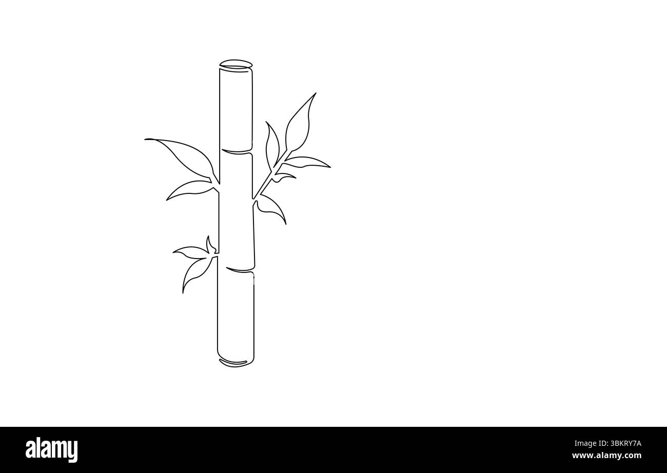 Minimalistische Linienzeichnung von Bambuspflanzen, Monoline Bambus mit Blättern, Stock Vektor