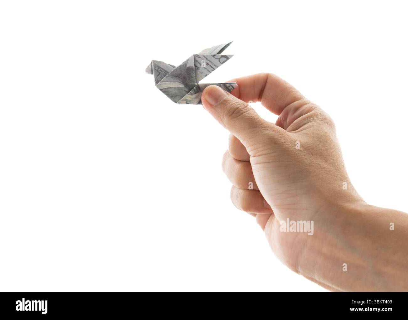 Eine Hand hält sanft einen kleinen Origami Vogel gefaltet von einem US-Dollar-Schein weißen Hintergrund. Wirtschaftliche Hoffnung, Konzept der finanziellen Freiheit. Stockfoto