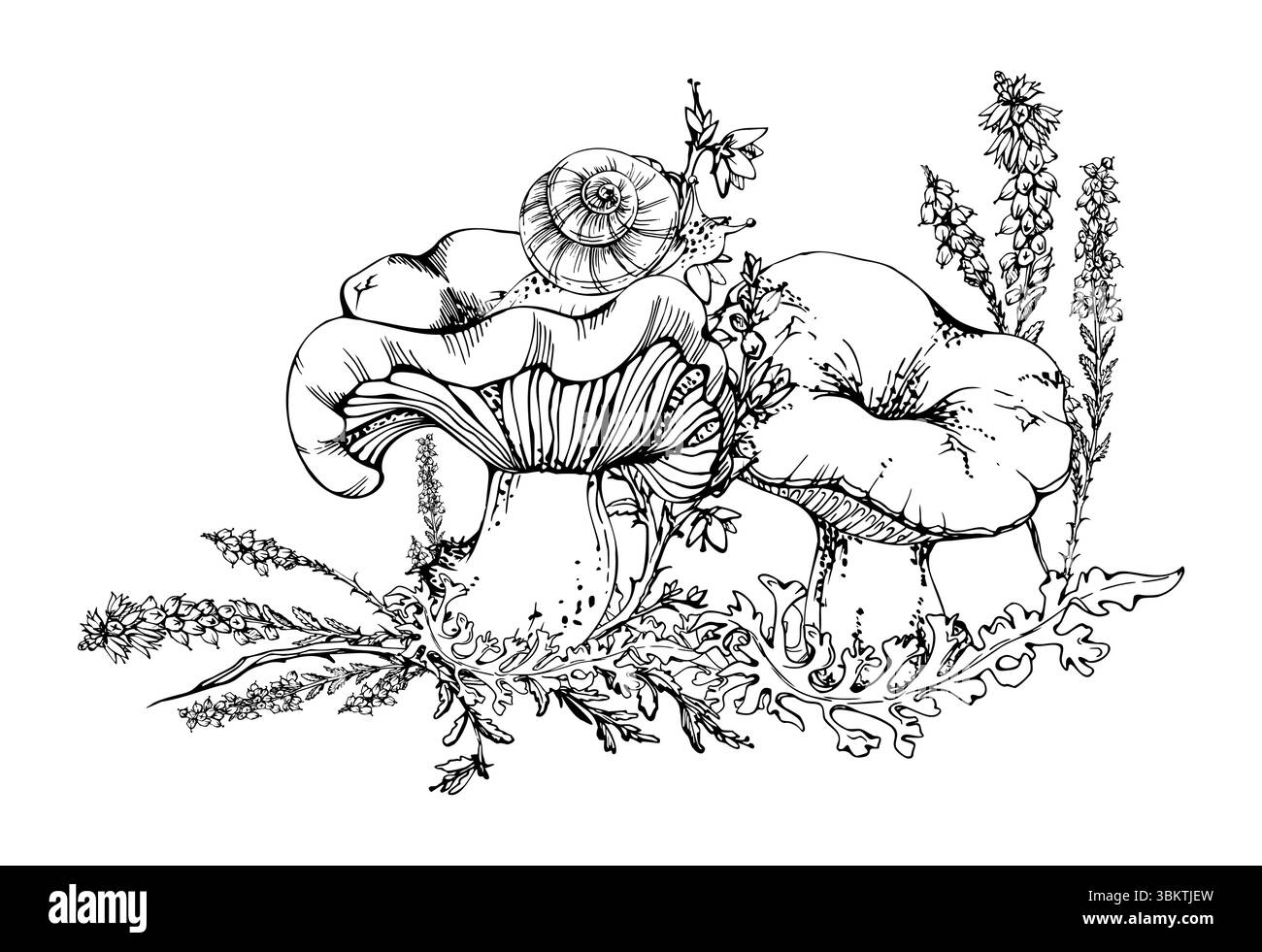 Russula Webcap Pilz, Schnecke oben, Moosflechten, Heidekraut Blumen. Naturdarstellung handgezeichnet in Vektortinte. Waldboden-Habitatszene Stock Vektor