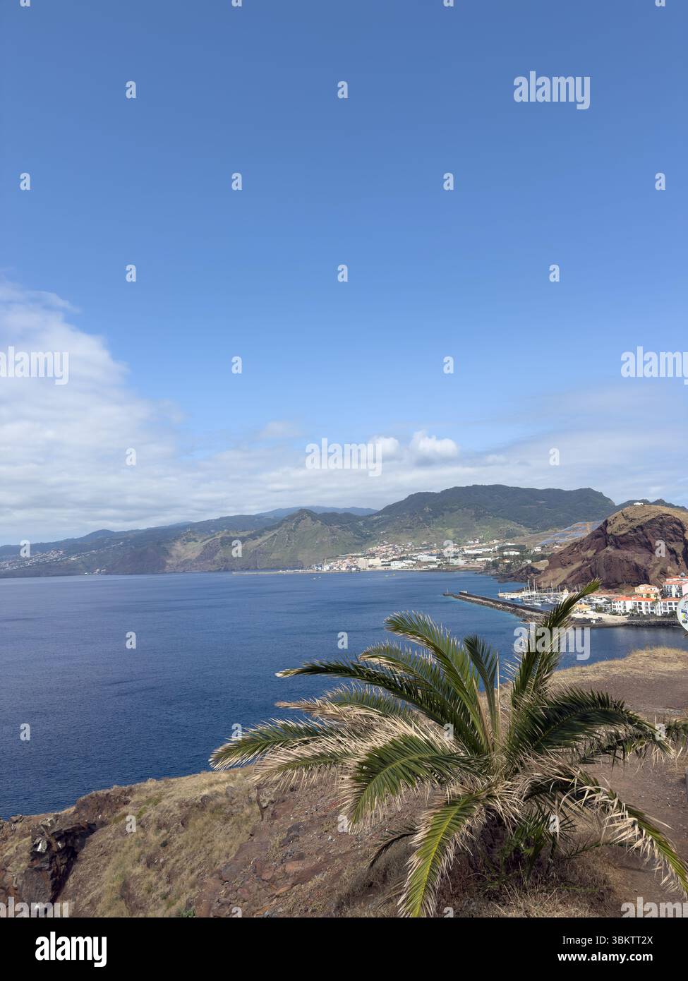Malerisches Panorama der felsigen Küste der Insel Madeira mit Hotels darauf. Reisekonzept - Smartphone-aufgenommenes Stockfoto