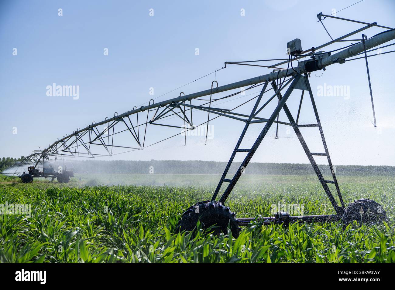Landwirtschaftliche Drehbewässerung auf einem Maisfeld Stockfoto