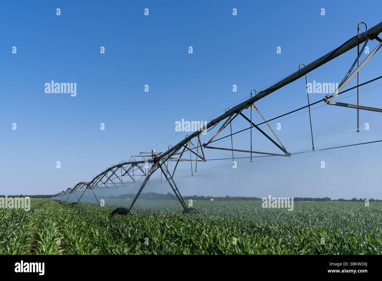 Landwirtschaftliche Drehbewässerung auf einem Maisfeld Stockfoto