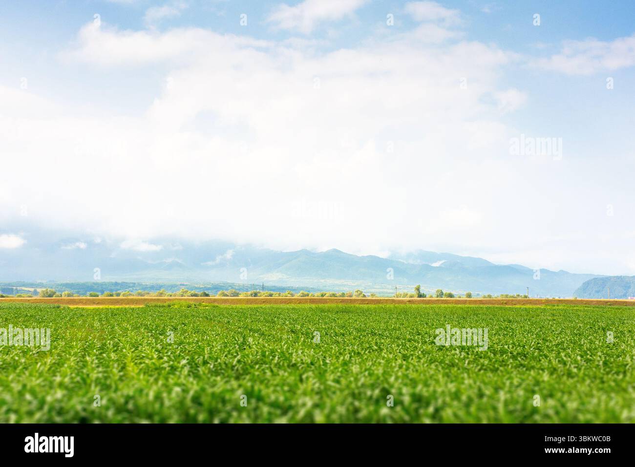Landschaft mit ländlichem Feld. Berglandschaft rumäniens im Sommer. Bewölkter Himmel. Ruhige Wolkenlandschaft Stockfoto