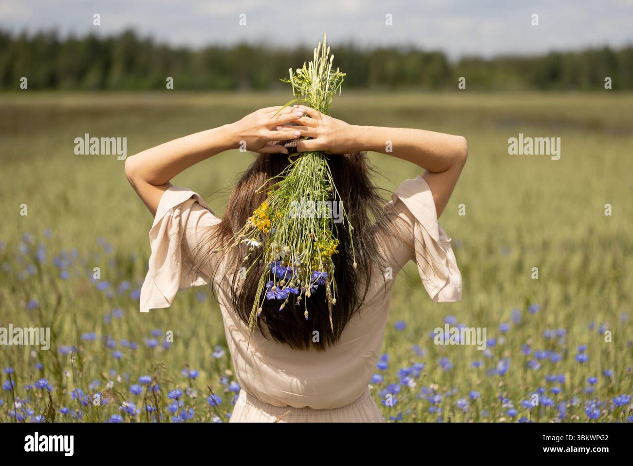 Wilde Kräuter für natürliches Haar und Wellness Stockfoto