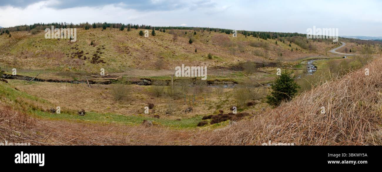Naturschützer restaurieren die Bachufer mit Stämmen und Stählen, um den Lebensraum zu verbessern und die Erosion zu kontrollieren. Stockfoto