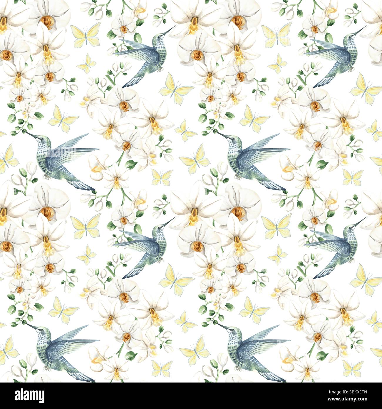 Fliegender Kolibri mit weißen Orchideenblüten und Schmetterlingen Aquarellillustration. Handgezeichnetes nahtloses Muster mit tropischer phalaenopsis und Vogel Stockfoto