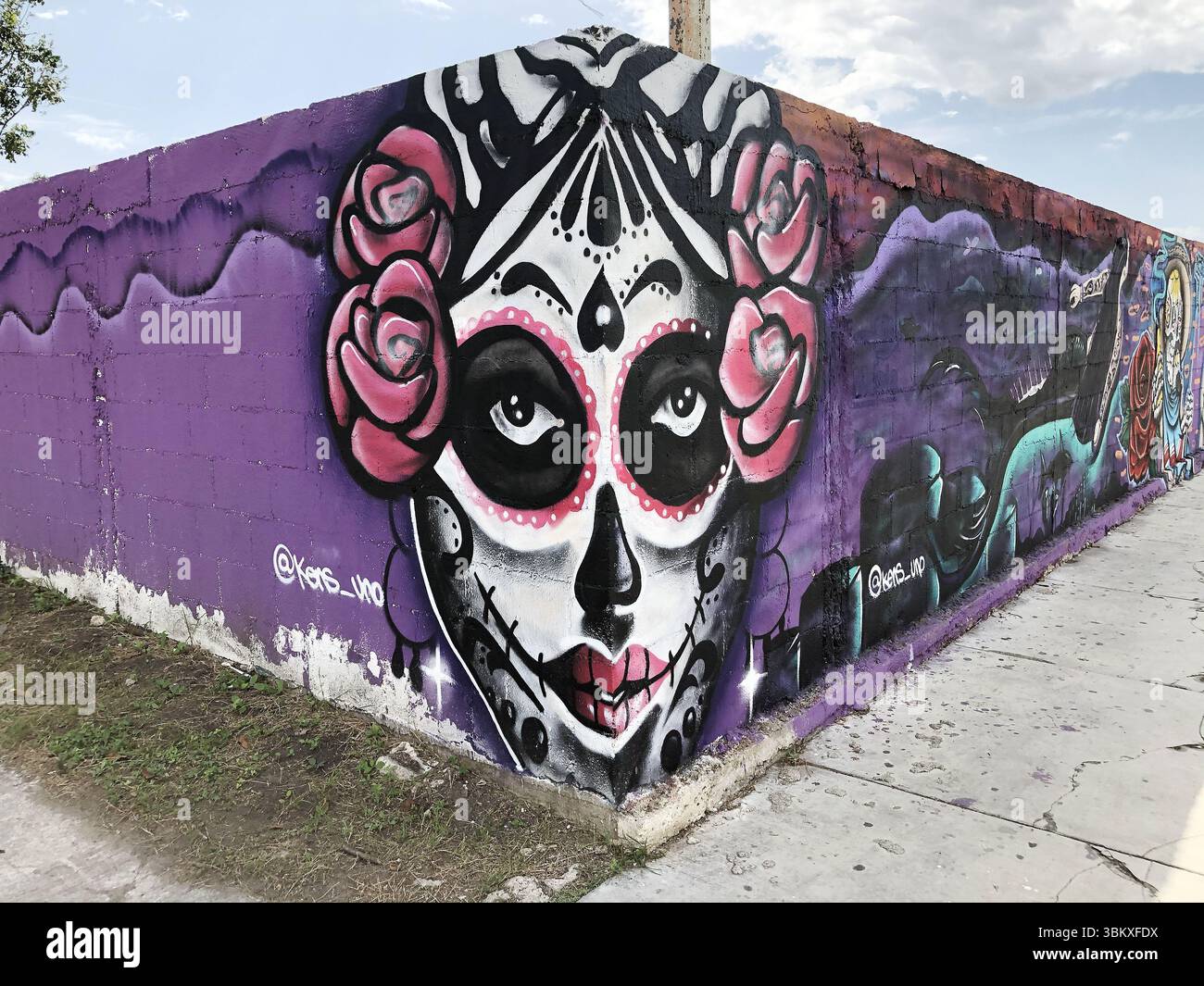 Day of the Dead Wandgemälde in Playa del Carmen, Mexiko – lebendige Straßenkunst mit einem Sugar Skull Gesicht mit Rosen und kräftigen Farben. Stockfoto