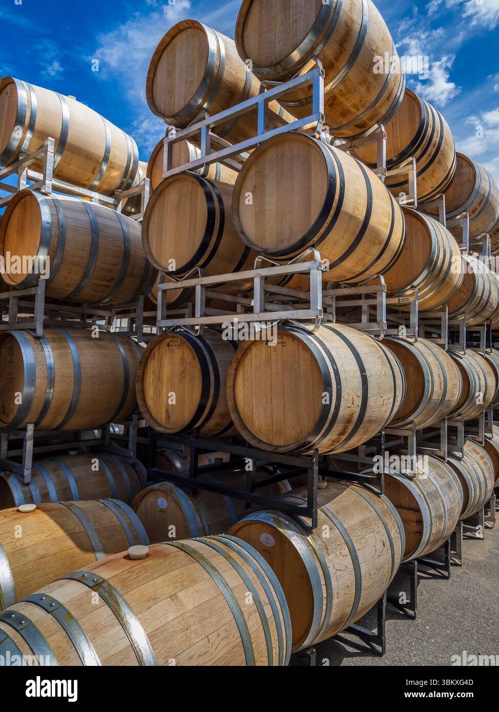 Weinfässer, Mount Boucherie Winery, Kelowna, British Columbia, Kanada. Stockfoto