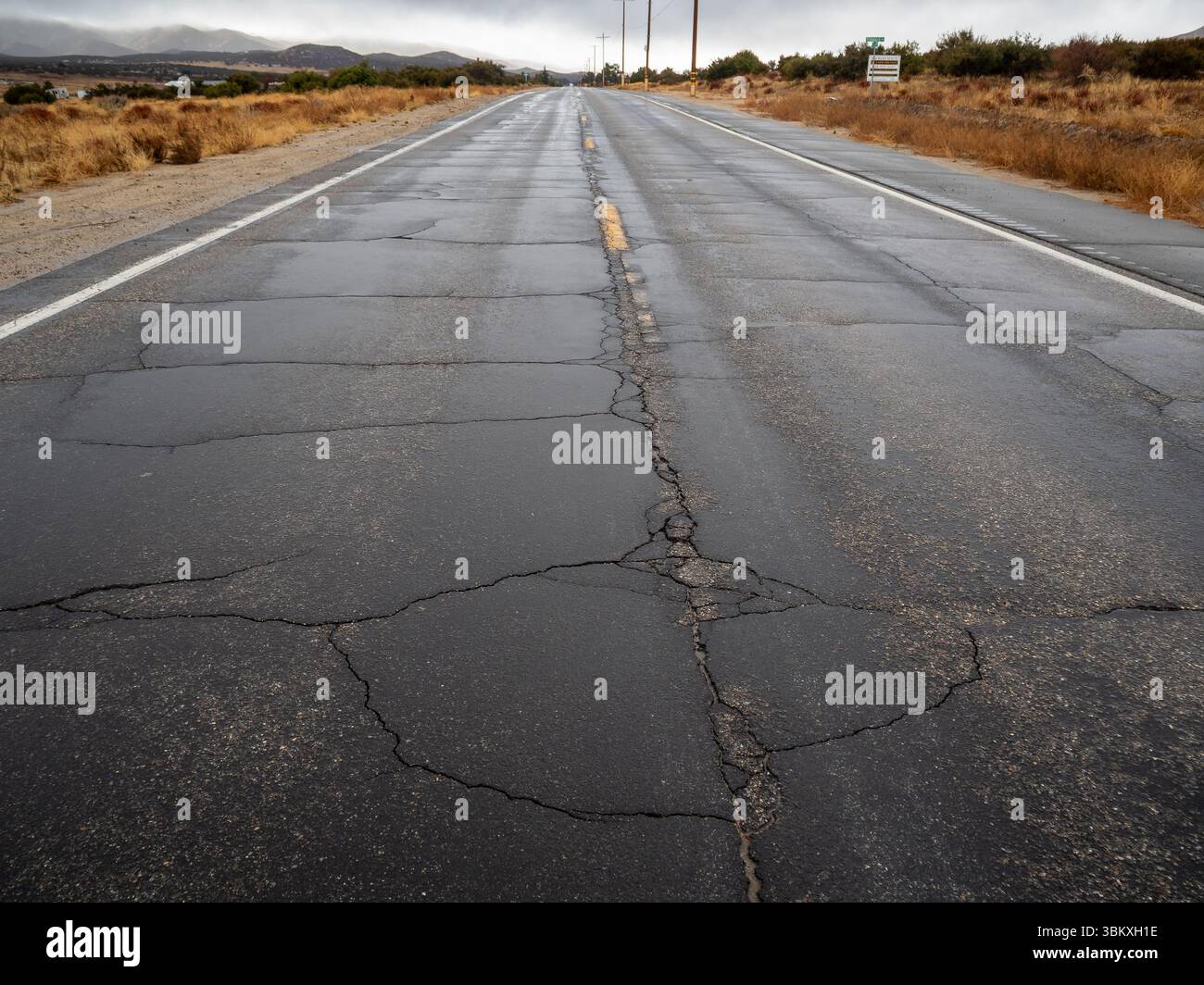 Unter bewölktem Himmel zieht sich eine gerissene und nasse Straße in die Ferne, an den Seiten trockene Vegetation. Stockfoto