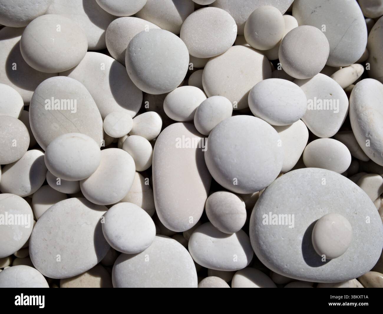 Nahaufnahme von weißen, glatten Kieselsteinen, die einen beruhigenden natürlichen Texturhintergrund bilden. Stockfoto