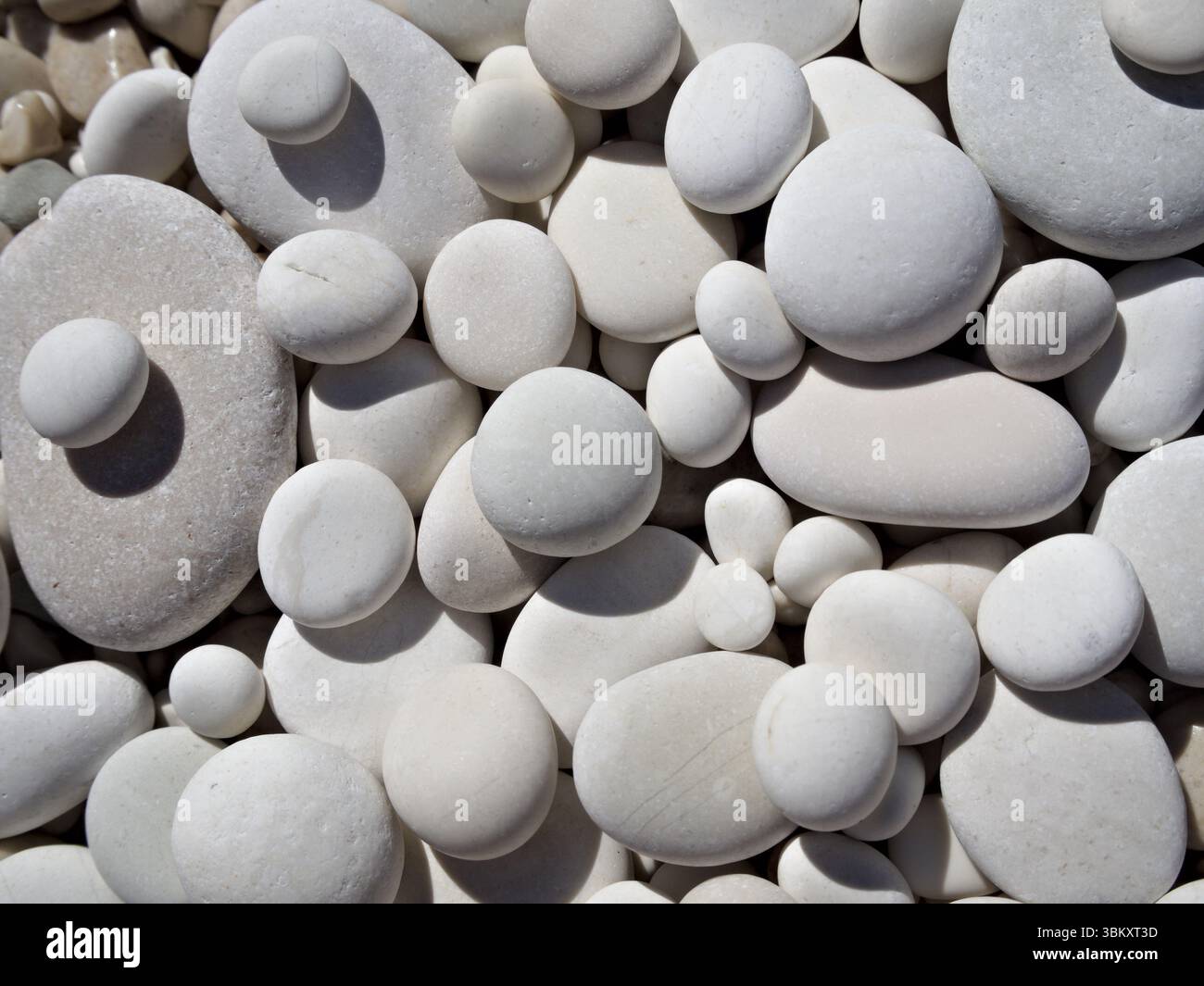 Blick von oben auf einheitliche runde weiße Steine mit sauberer, minimaler Zusammensetzung. Stockfoto