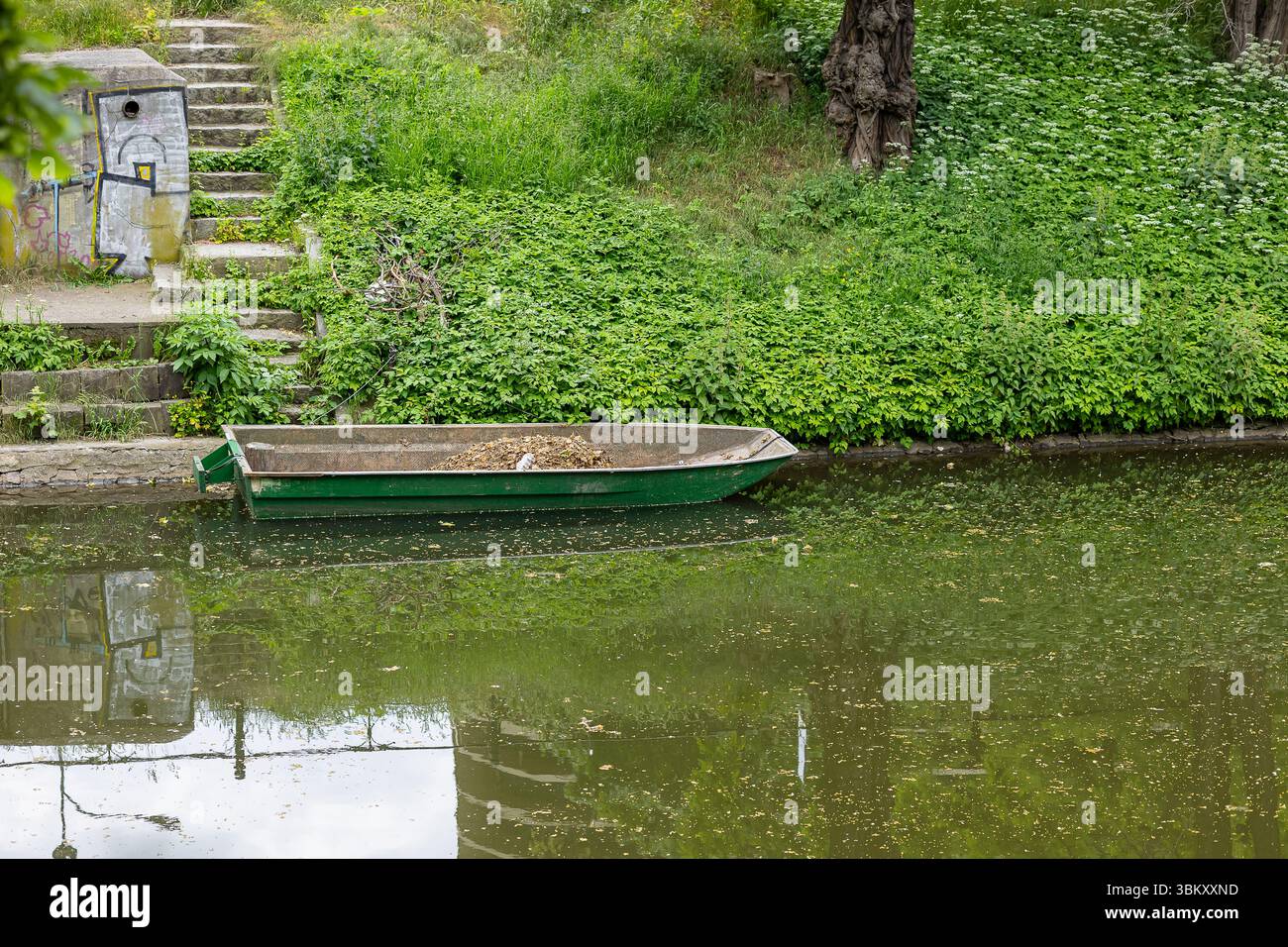 Altes grünes Boot mit trockenem Laub, das nahe einer Betontreppe und einem üppigen Flussbett vor Anker liegt. Langsamer Tourismus, Natur und friedliche Entspannung am Wasser Stockfoto