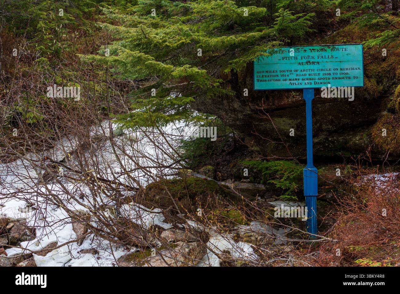 Pitch Fork Falls, White Pass und Yukon Railway, Skagway, Alaska, USA Stockfoto