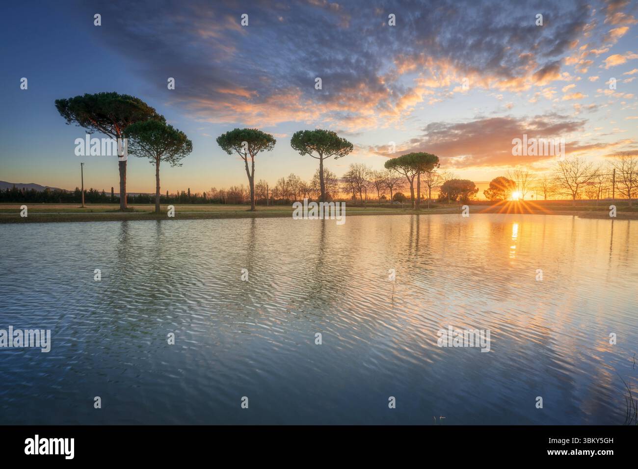 Kiefern und ein kleiner Teich in der Landschaft von Castagneto Carducci in der Maremma bei Sonnenuntergang. Landschaft in der Toskana, Italien Stockfoto