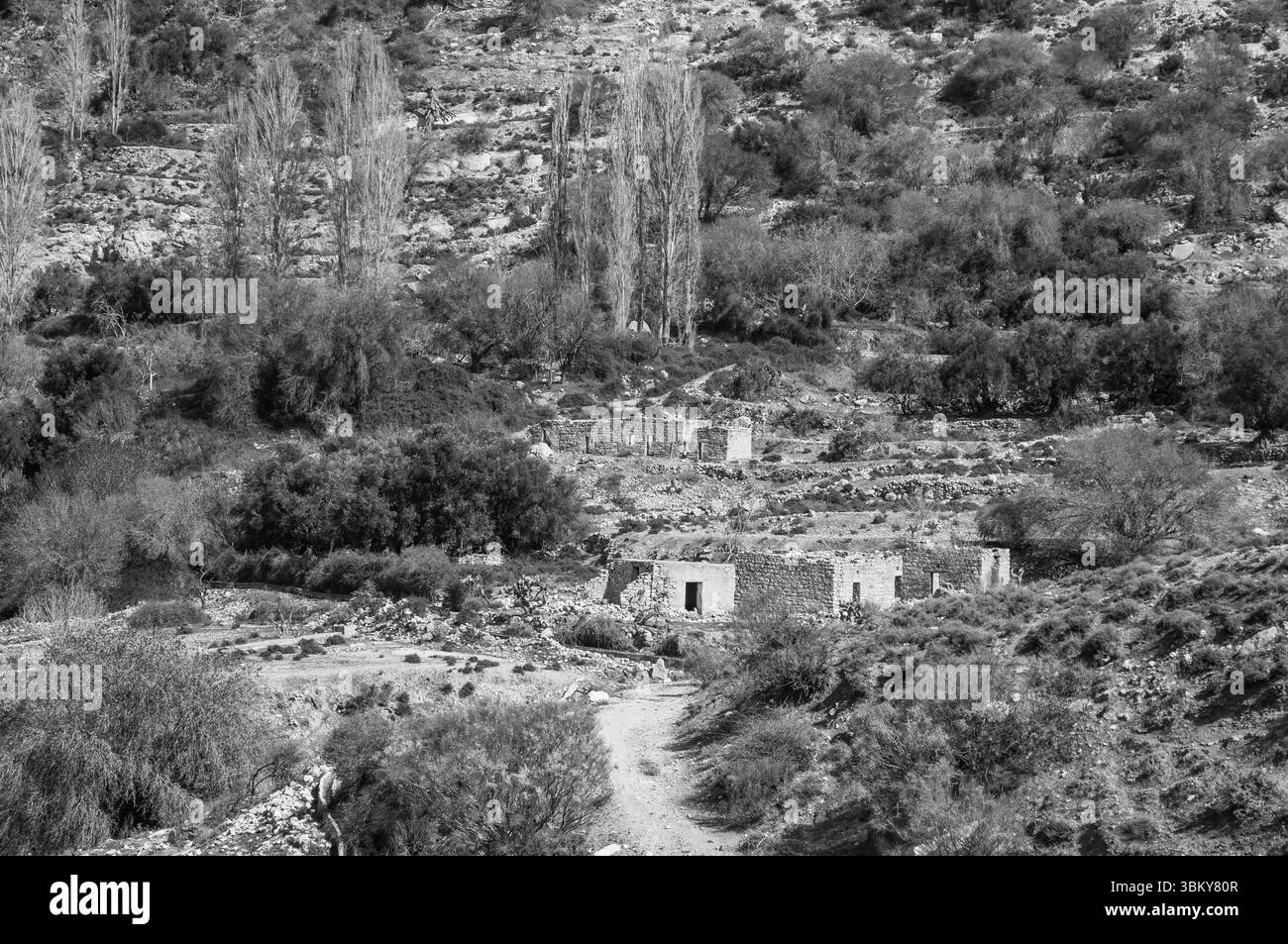 Das Bild ist ein Schwarzweiß-Foto einer ländlichen Gegend mit einem Feldweg und ein paar Häusern. Die Häuser sind klein und in der ganzen Gegend verstreut, mit s Stockfoto