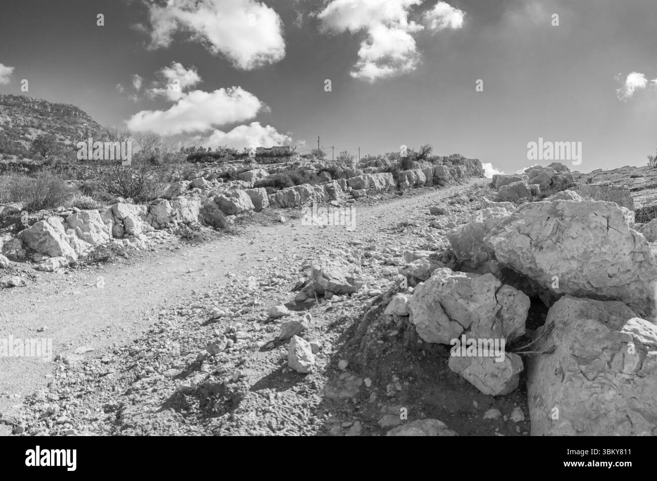 Eine felsige Straße mit ein paar Bäumen im Hintergrund. Die Straße ist leer und der Himmel ist bewölkt Stockfoto