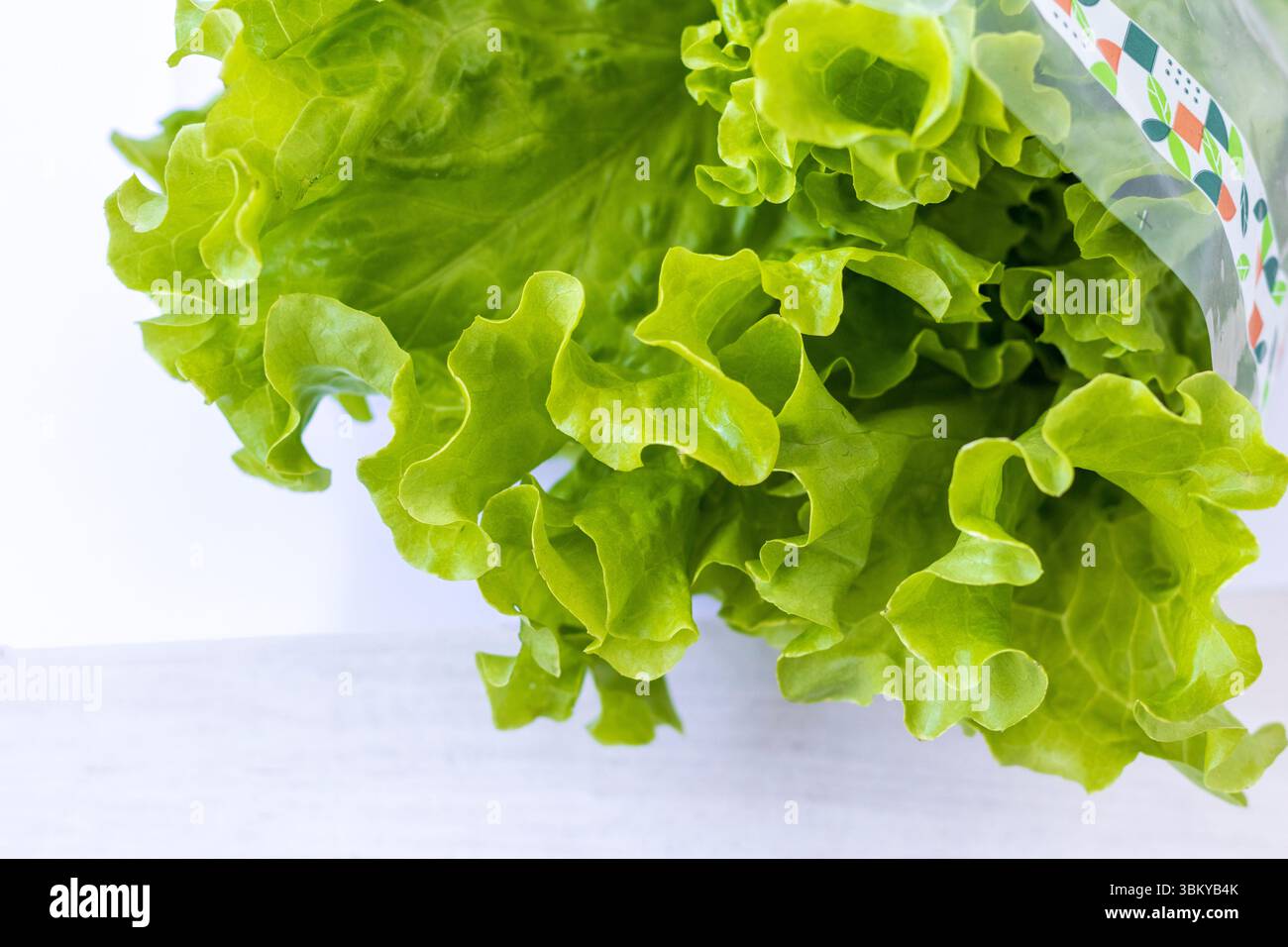 Frische Salatblätter auf weißem Hintergrund Stockfoto