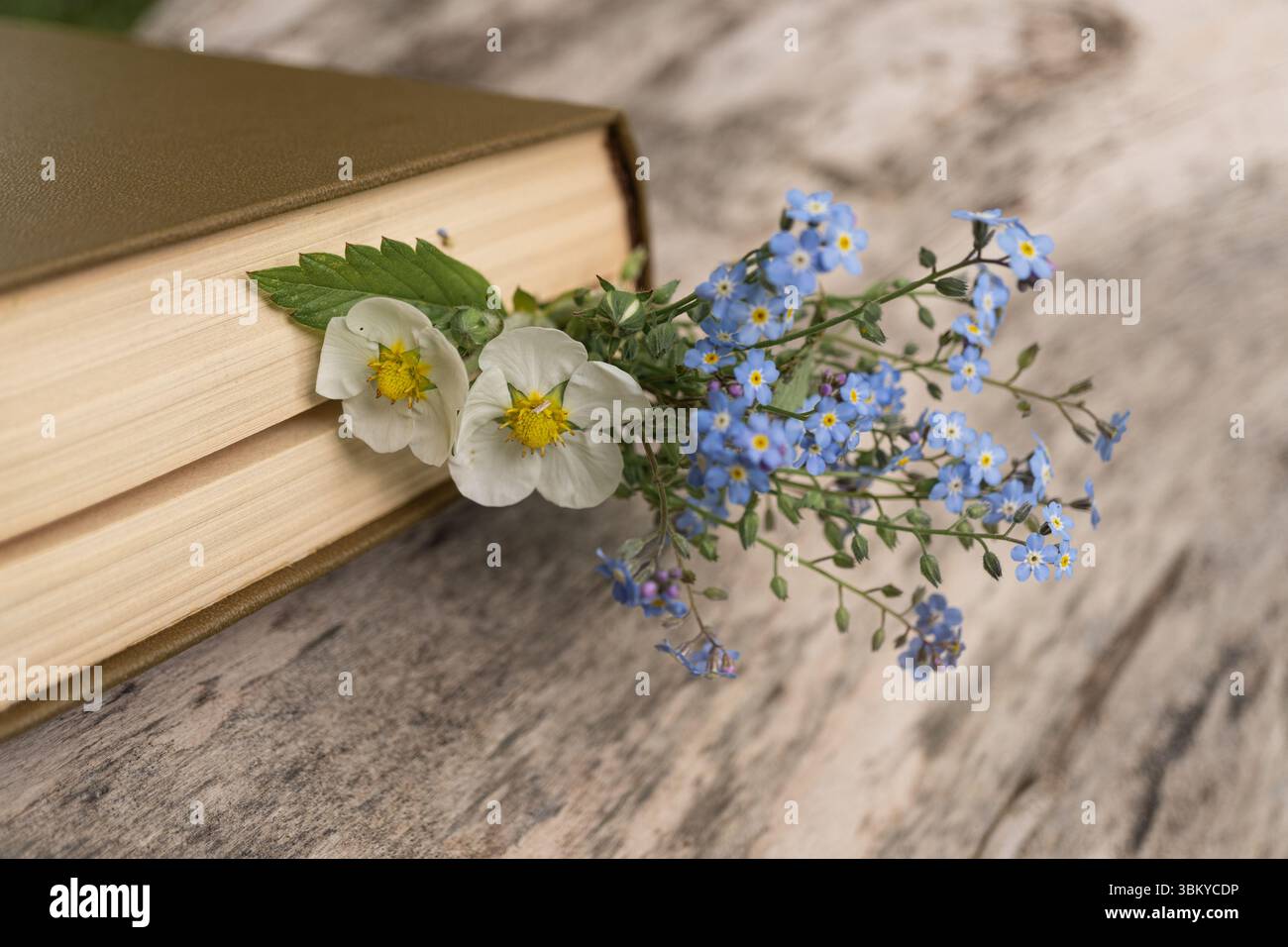 Wildblumen zwischen Buchseiten auf rustikalem Holztisch Stockfoto
