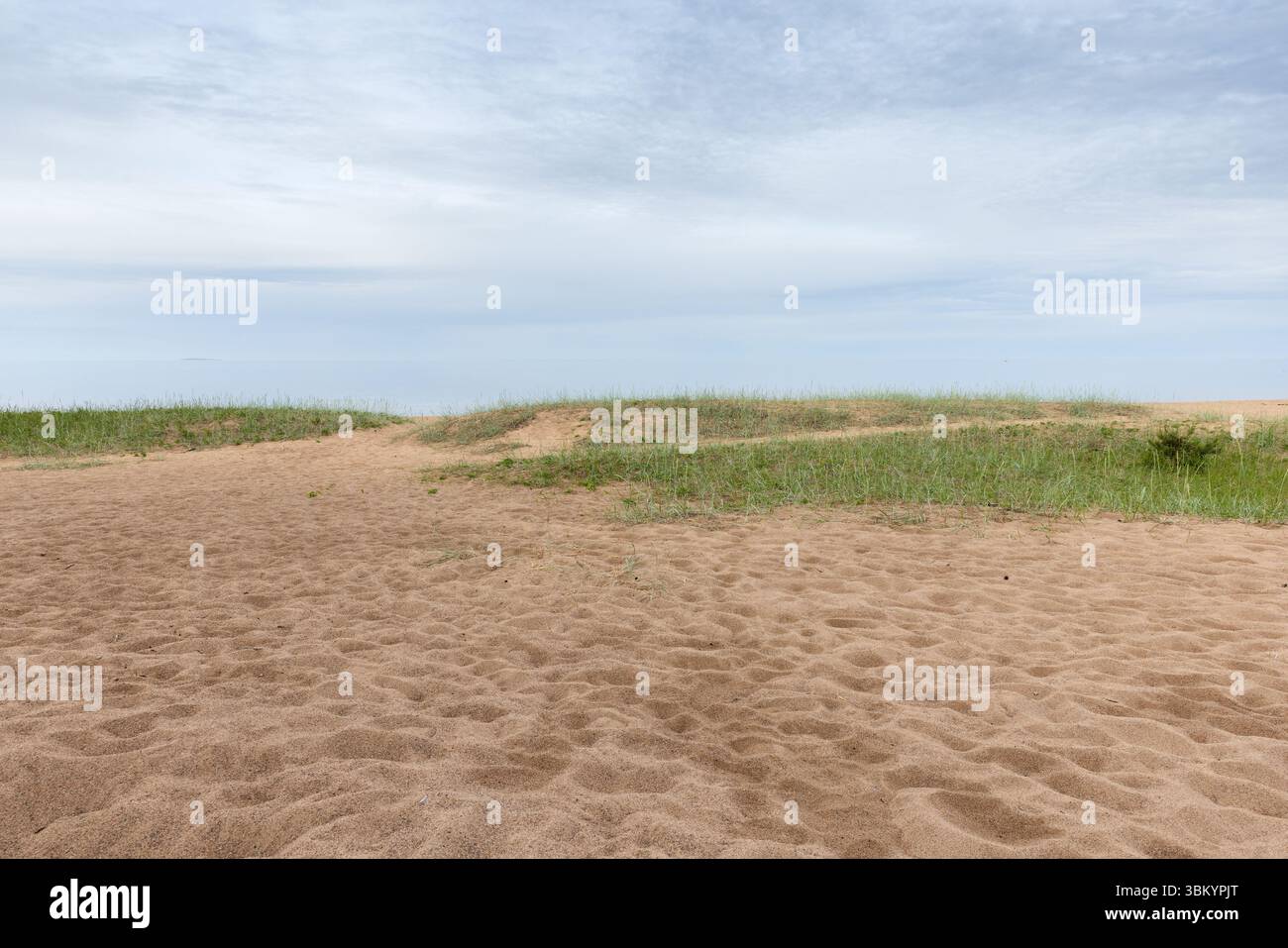 Friedliche Sandstrandlandschaft mit sanften grasbewachsenen Dünen, die unter bewölktem Himmel zum Horizont führen. Ideal für die Vermittlung von Ruhe, natürlicher Schönheit, an Stockfoto