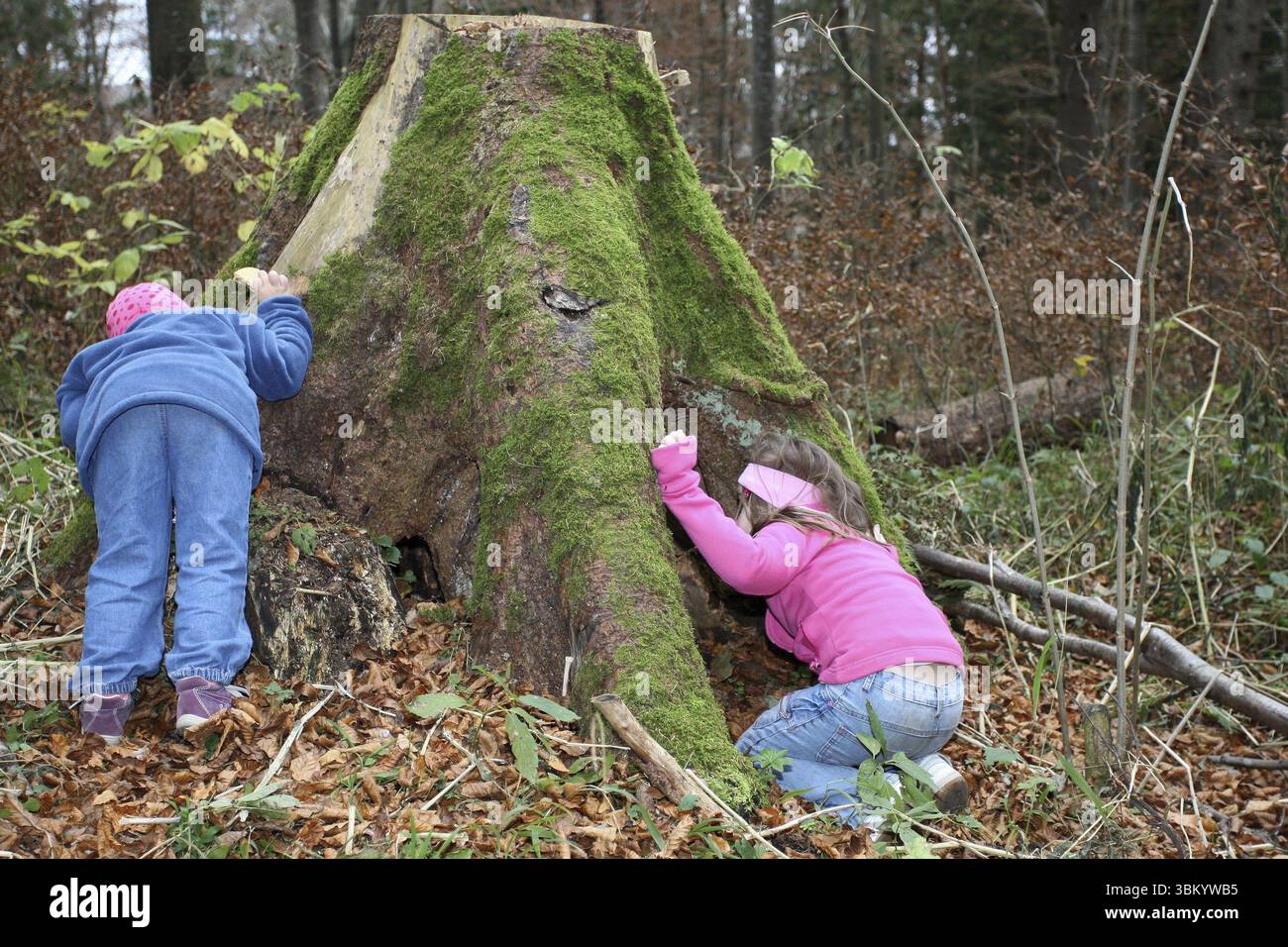 Mädchen entdecken die Natur, Kinder in der Natur, Liebe zur Natur, Allgaeu, Bayern, Deutschland, Allgaeu, Bayern, Deutschland, Europa Stockfoto