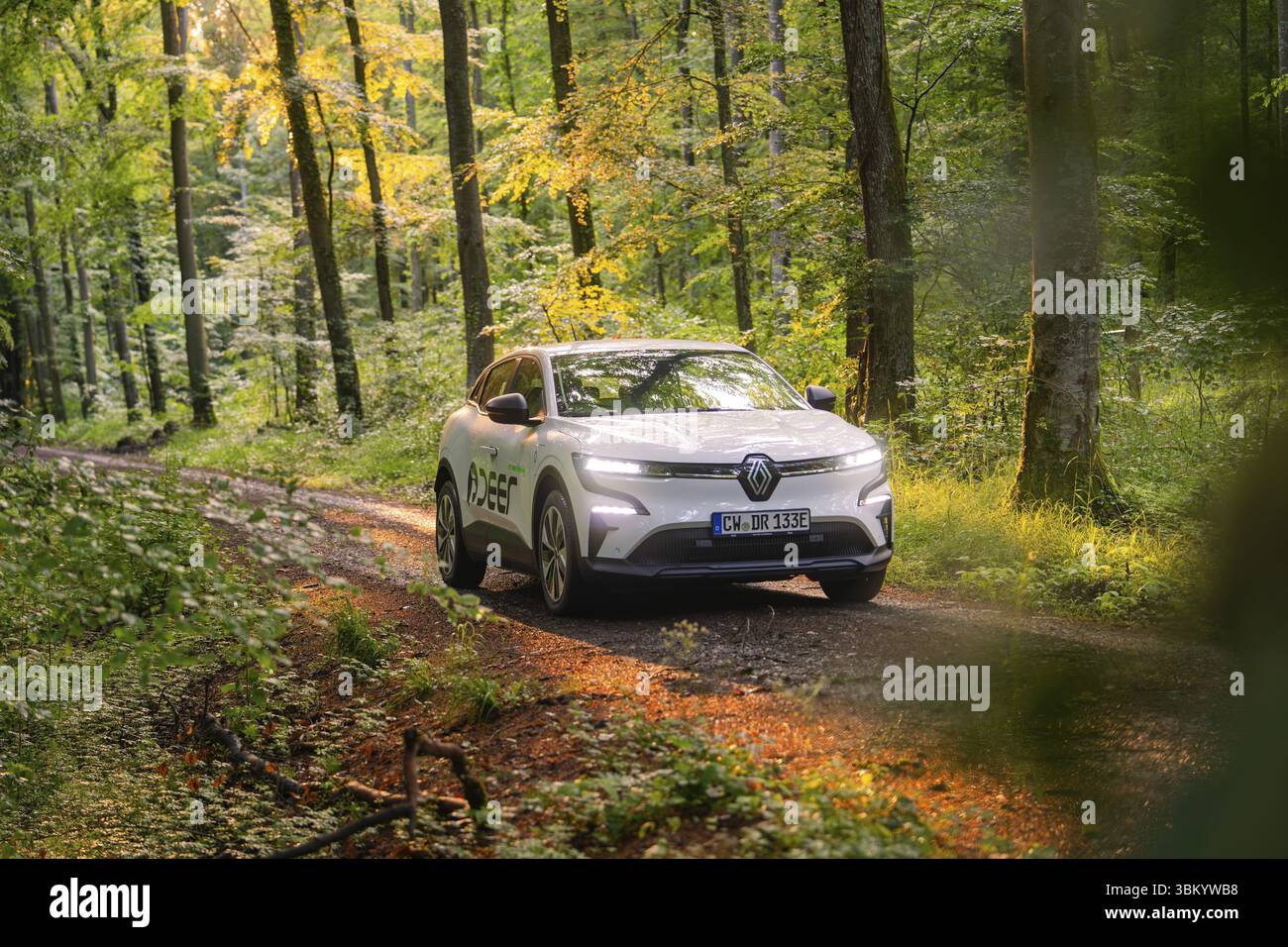 Weißes Auto auf einem Waldweg im Sonnenlicht, umgeben von hohen Bäumen, Hirsch E- Carsharing, Renault Megane Elektroauto, Calw, Schwarzwald, Deutschland, EU Stockfoto