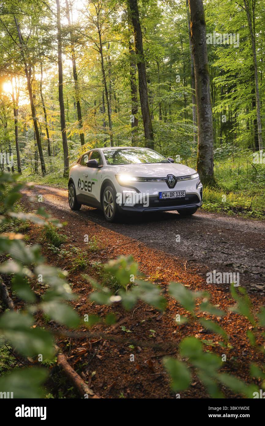 Renault fährt auf einem Waldweg, umgeben von hohen Bäumen im Sonnenlicht, Deer E- Carsharing, Renault Megane Elektroauto, Calw, Schwarzwald, GE Stockfoto