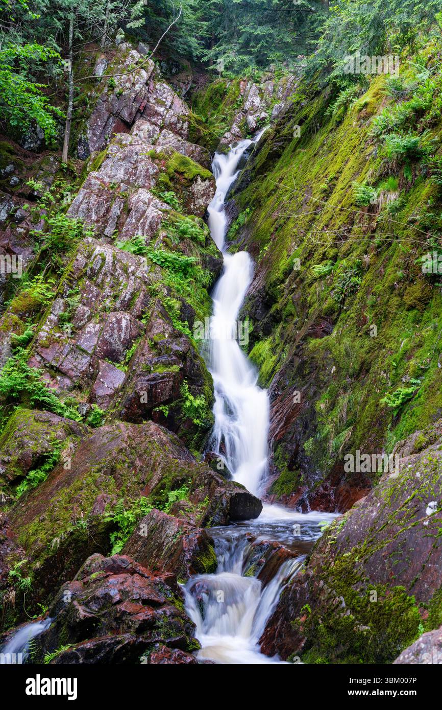 Foto der wunderschönen Morgan Falls im Chequamegon-Nicolet National Forest, Ashland County, Wisconsin, USA. Stockfoto