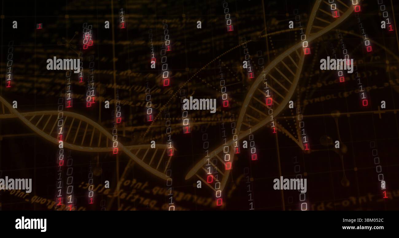 Zeigt goldene DNA-Doppelspirale, die sich über dunkles digitales Feld mit Binärströmen und Code-Text windet Stockfoto