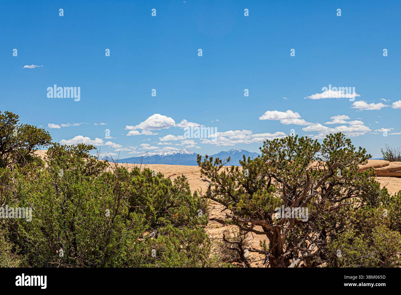 Wunderschöne Wüstenlandschaft in der Nähe von Moab Utah. Stockfoto