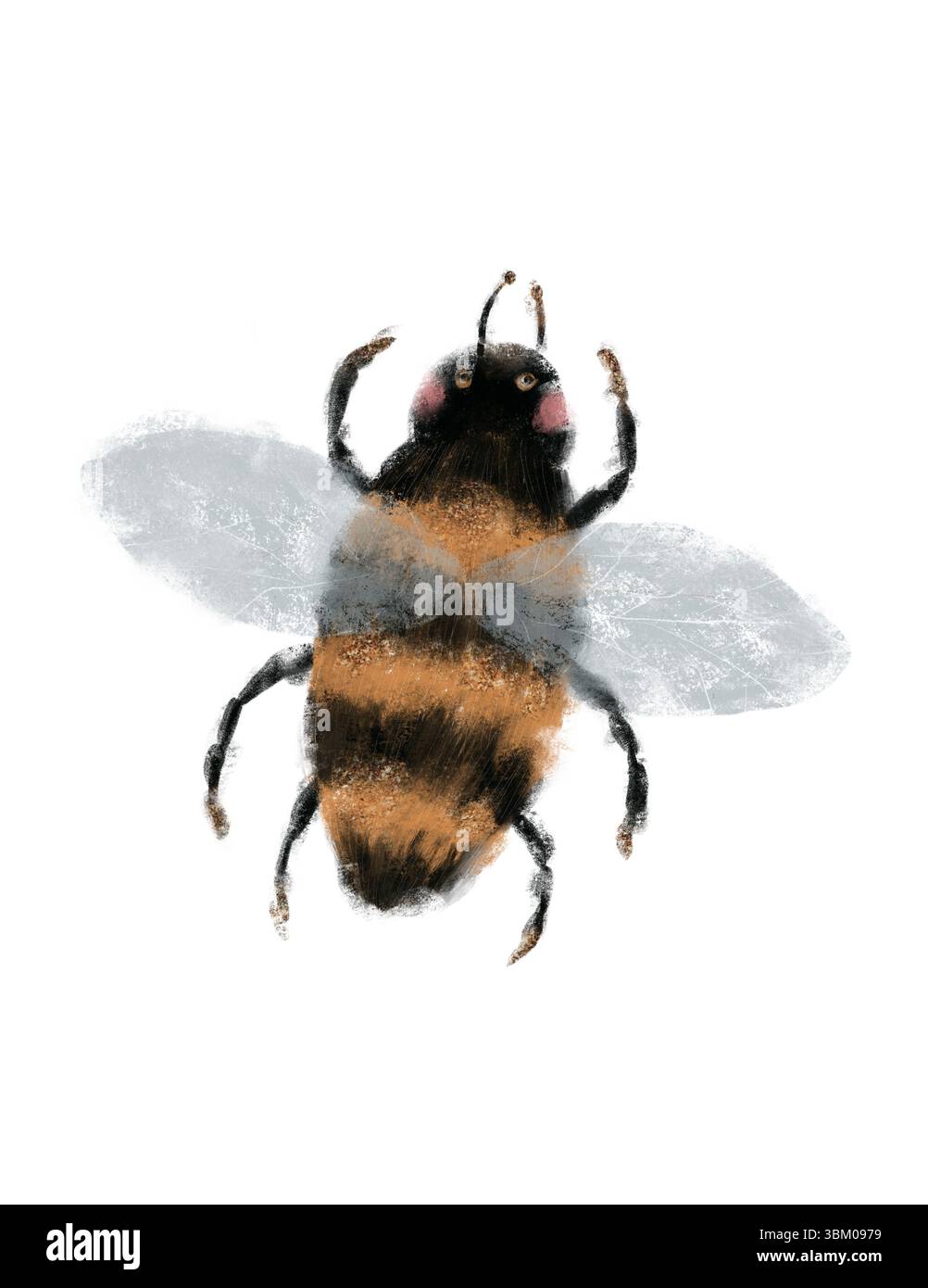 Eine detaillierte Abbildung einer Biene, die ihre Besonderheiten und leuchtenden Farben zeigt. Ideal für Projekte mit Naturthemen. Isoliertes handgezeichnetes Objekt auf weißem Hintergrund. Stockfoto