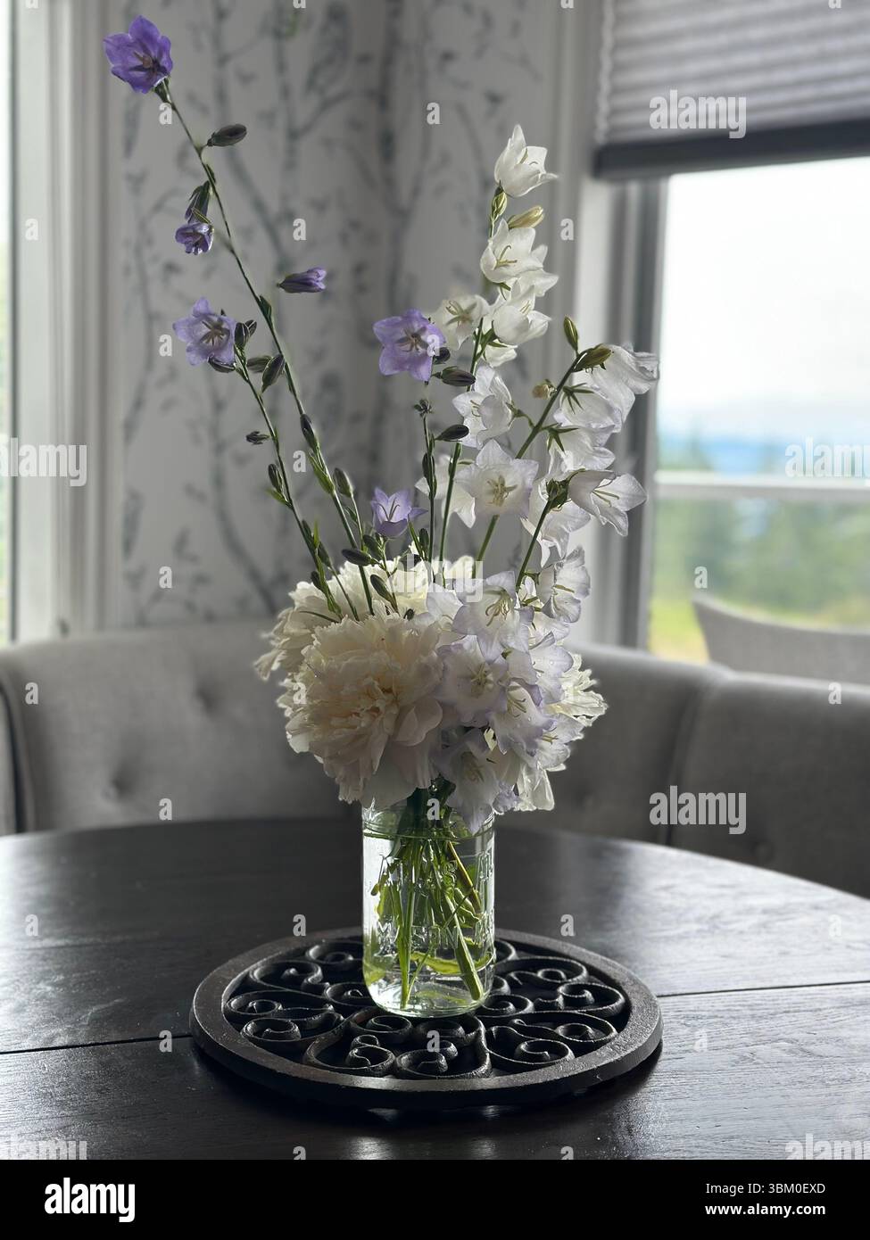 Elegantes Blumenarrangement aus weißen Pfingstrosen und lila campanula in Glasvase auf einem runden dunklen Holztisch mit einem hellen Fenster, das eine ruhige Atmosphäre vermittelt. - Smartphone-aufgenommenes Stockfoto