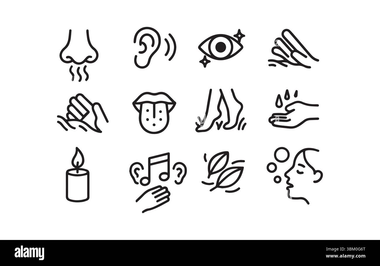 Die fünf Sinne erkunden eine illustrative Reise durch die Wahrnehmung Stock Vektor