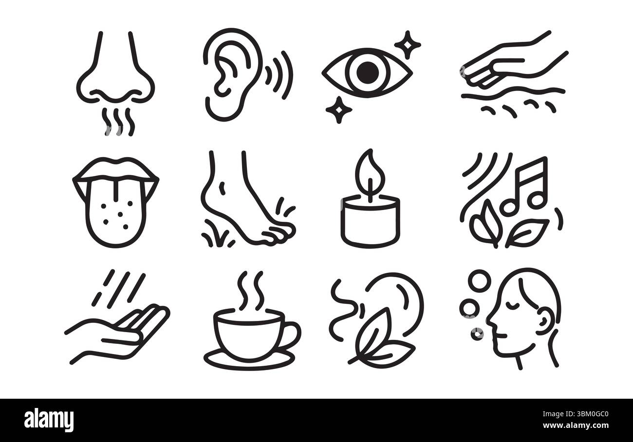 Die fünf Sinne erkunden eine illustrative Reise durch die Wahrnehmung Stock Vektor