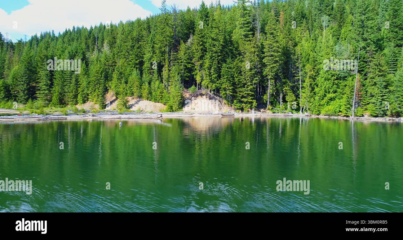 Idyllische Aufnahme von Grün am Fluss Stockfoto