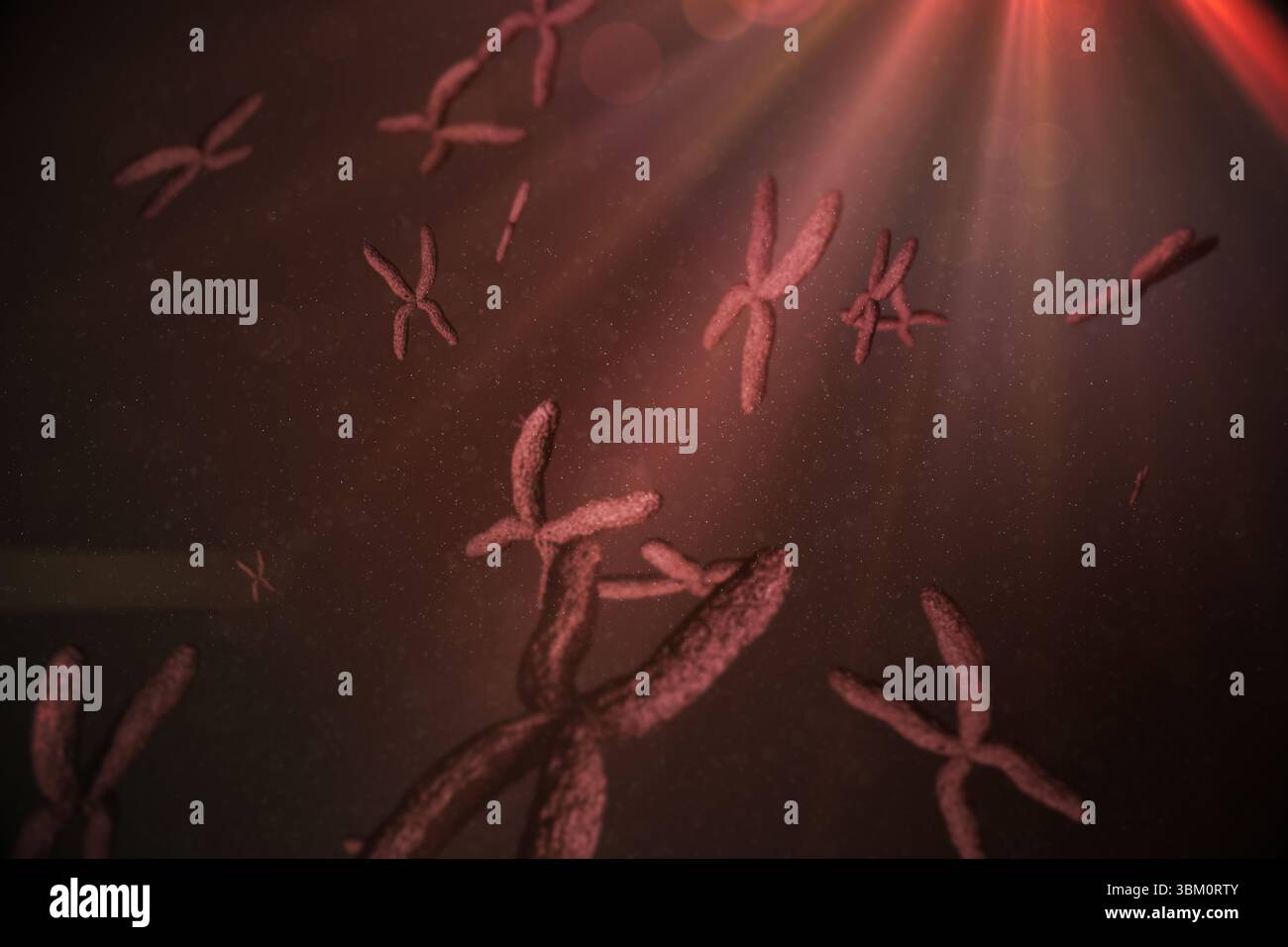 X-förmige Chromosomen schwimmen in roter Flüssigkeit mit Partikeln und Lichtstrahlen in flacher Bauweise Stockfoto