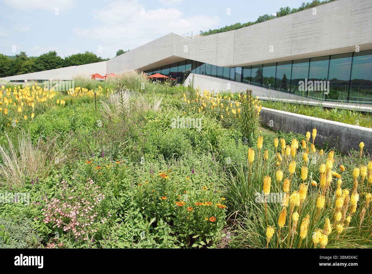 Außenbereich, Garten, Eingang, Restaurant des Internationalen Zentrums für Höhlenkunst (Lascaux IV), Montignac, Dordogne, Frankreich. Juni. Stockfoto