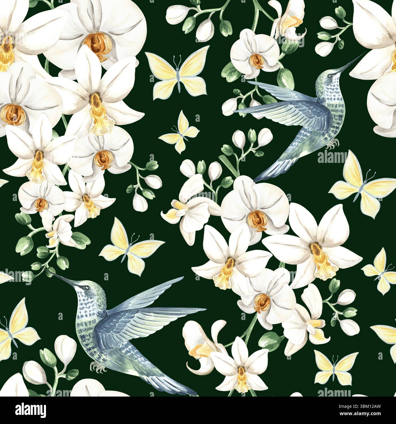 Fliegender Kolibri mit weißen Orchideenblüten und Schmetterlingen Aquarellillustration. Handgezeichnetes nahtloses Muster mit tropischer phalaenopsis und Vogel Stockfoto