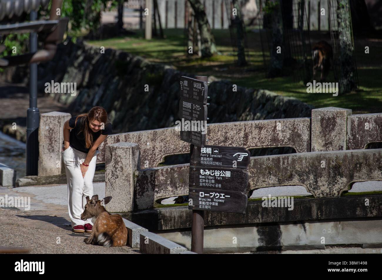 Miyajima Island vor der Küste von Hiroshima in Japan. Stockfoto