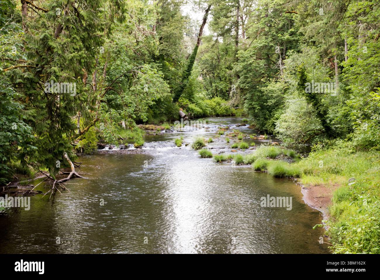USA, Oregon, Lane County. Fall Creek. Stockfoto