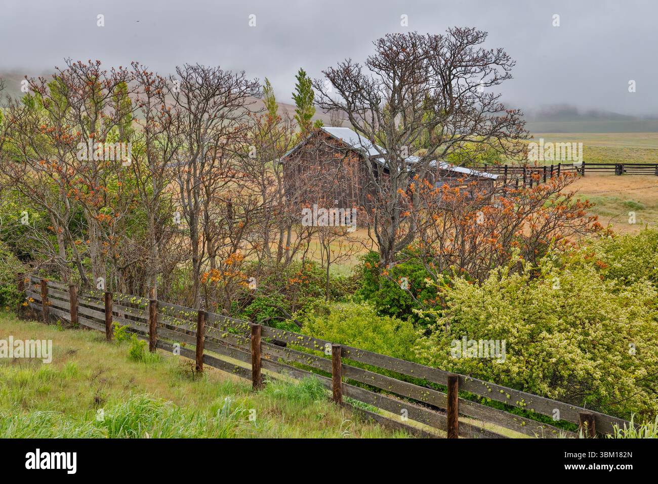 USA, Bundesstaat Washington. Columbia Hills State Park mit Scheune und Zaun Stockfoto