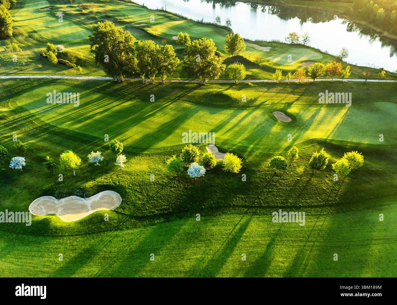 Blick aus der Vogelperspektive auf das grüne Gras und die Bäume auf einem Golffeld Stockfoto
