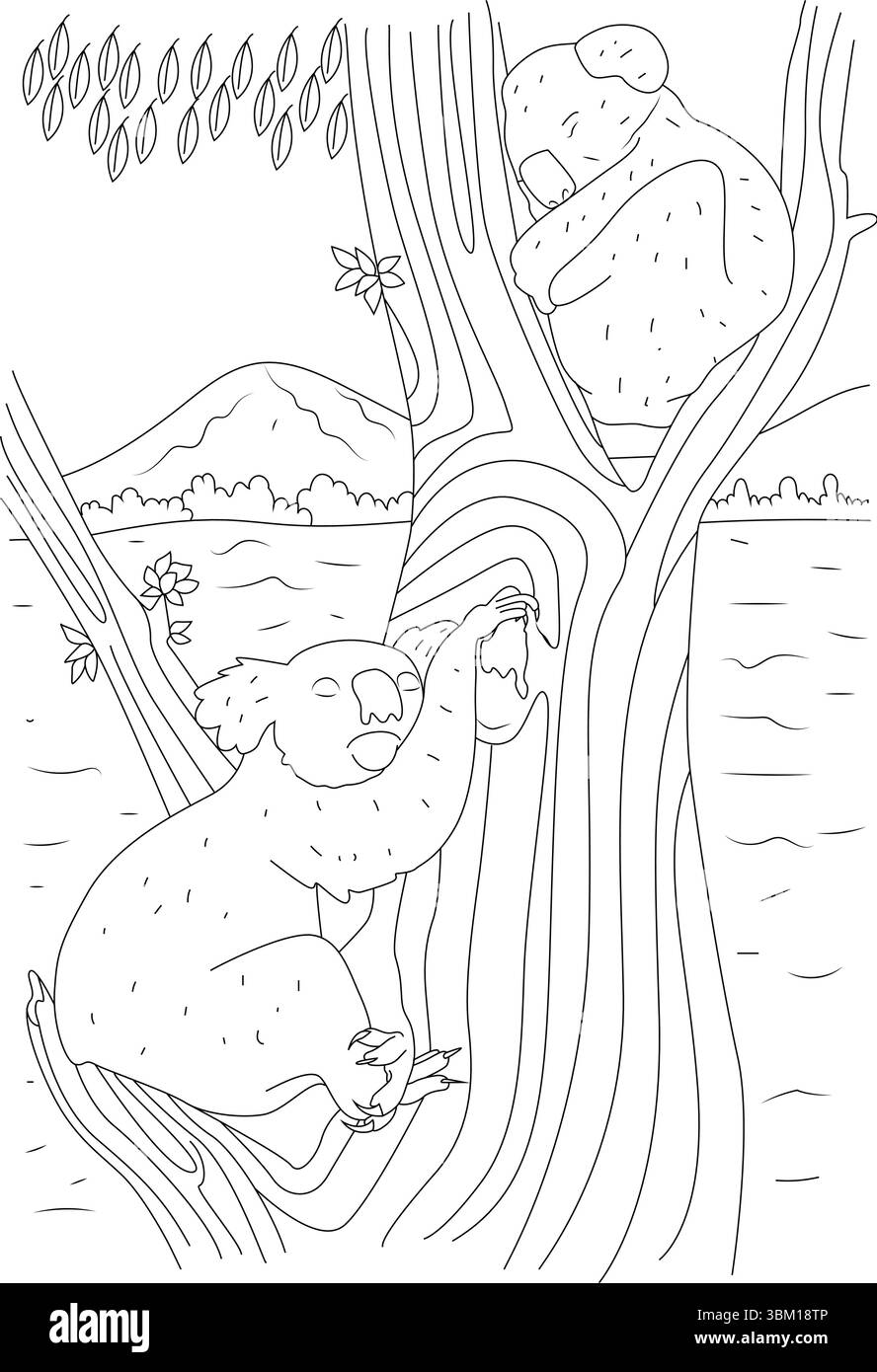 Eine schwarz-weiße Strichgrafik, die zwei Koalas in ihrem natürlichen Lebensraum darstellt. Ein Koala wird gezeigt, der aktiv auf der strukturierten Rinde eines Ters klettert Stock Vektor