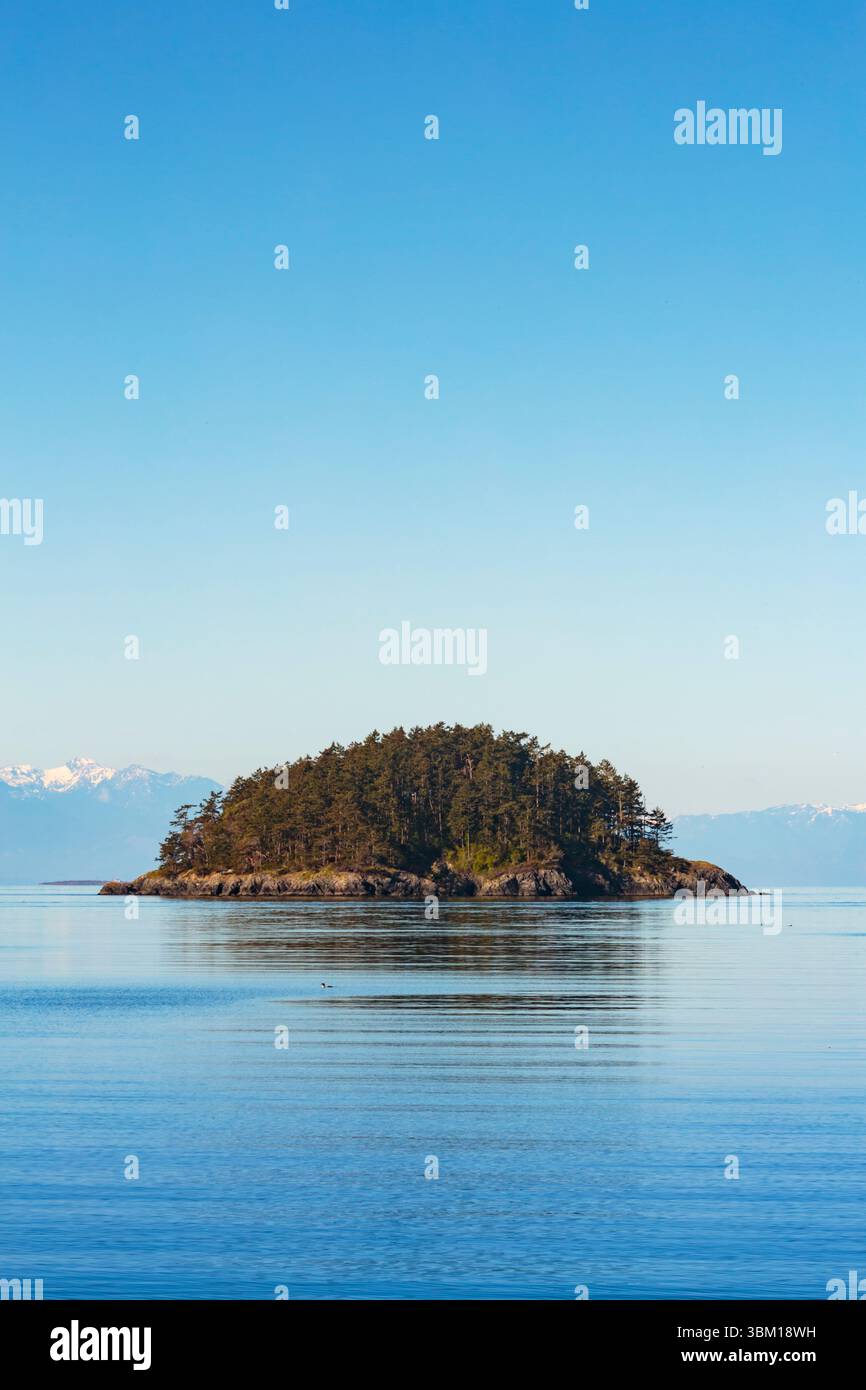 Deception Island, Bowman Bay, Deception Pass State Park, Washington State, USA. Stockfoto